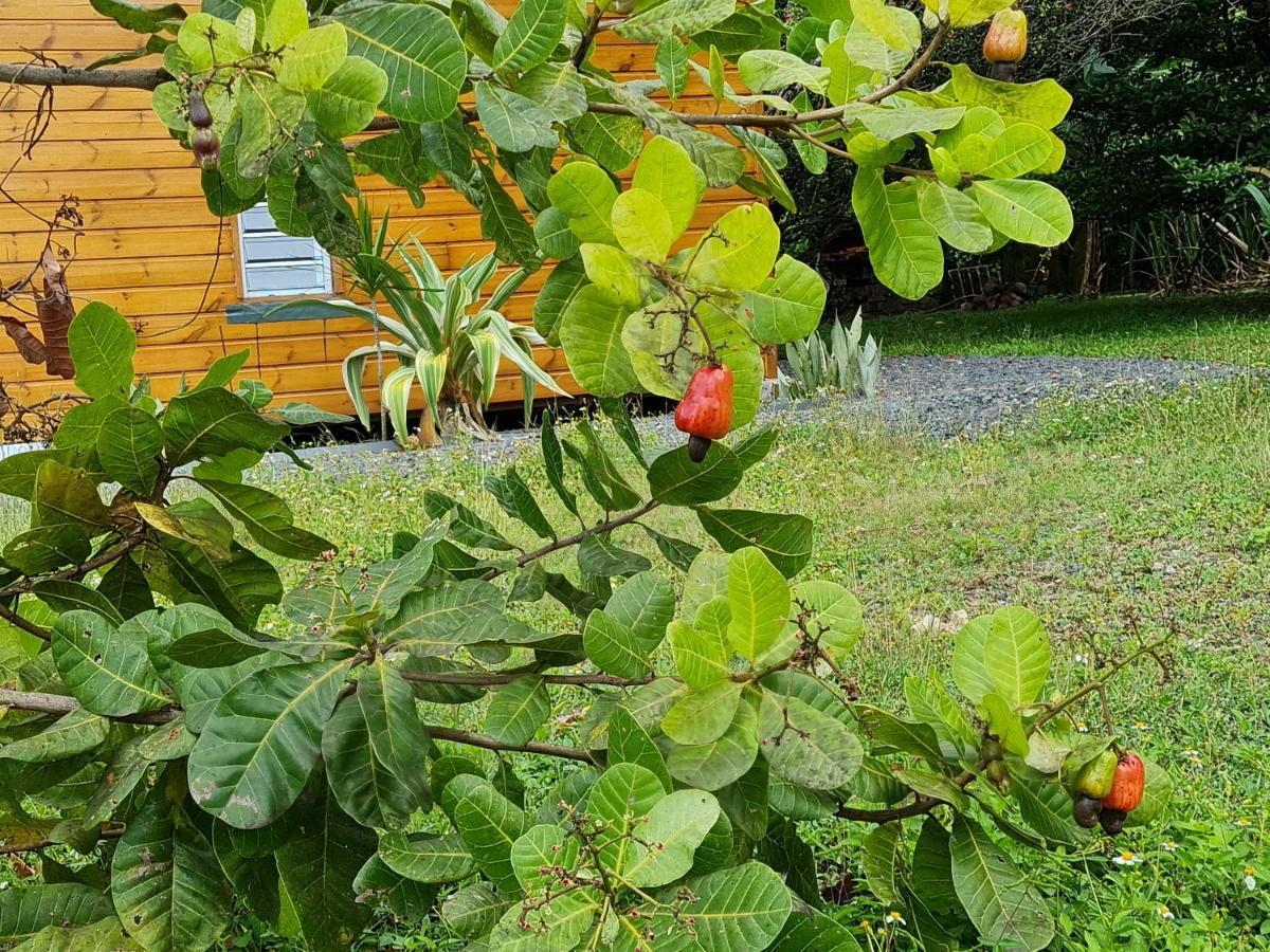 La Kaz Nature Bien-Etre Пети-Бург Екстериор снимка